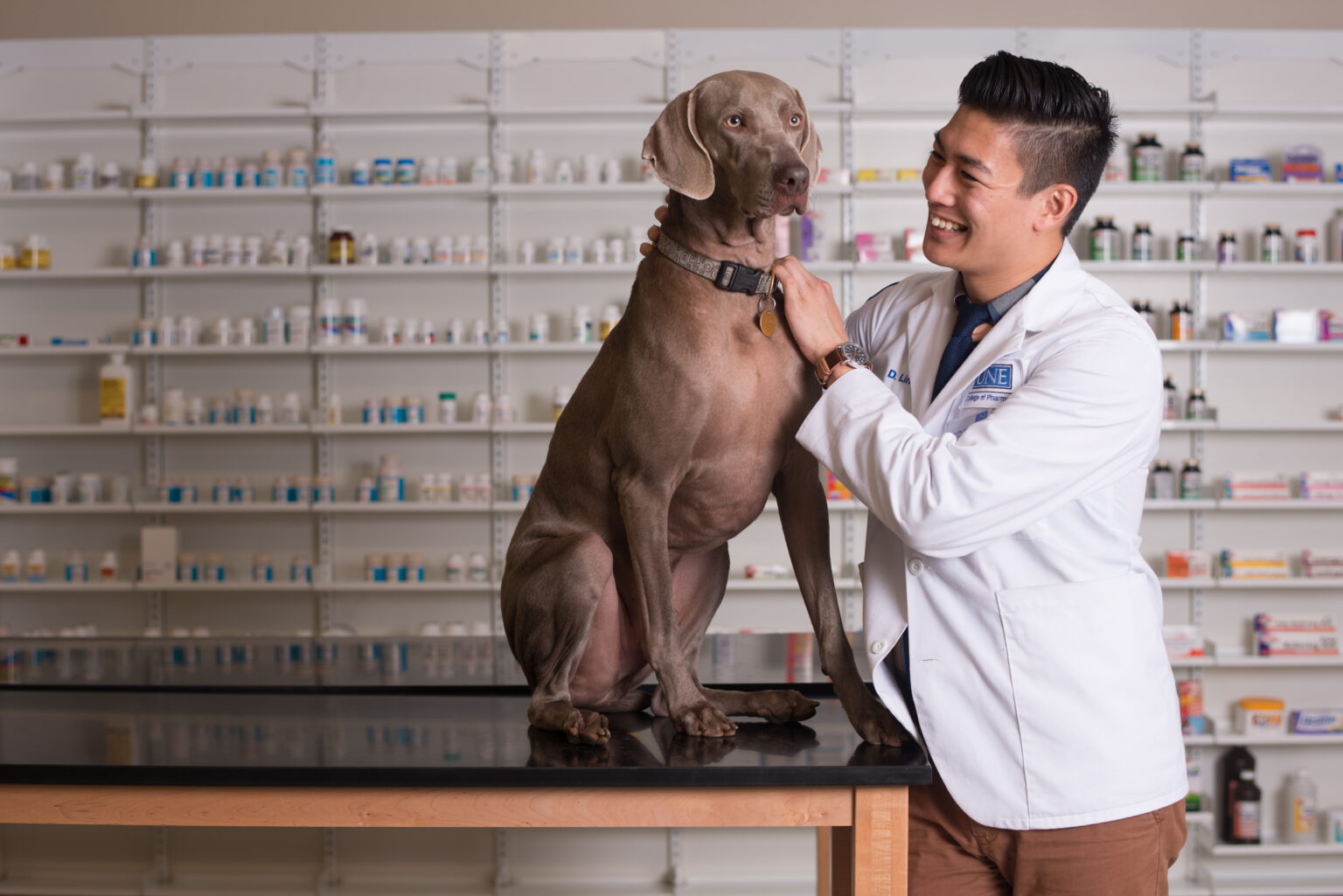 A Glimpse into Veterinary Pharmacy School of Pharmacy