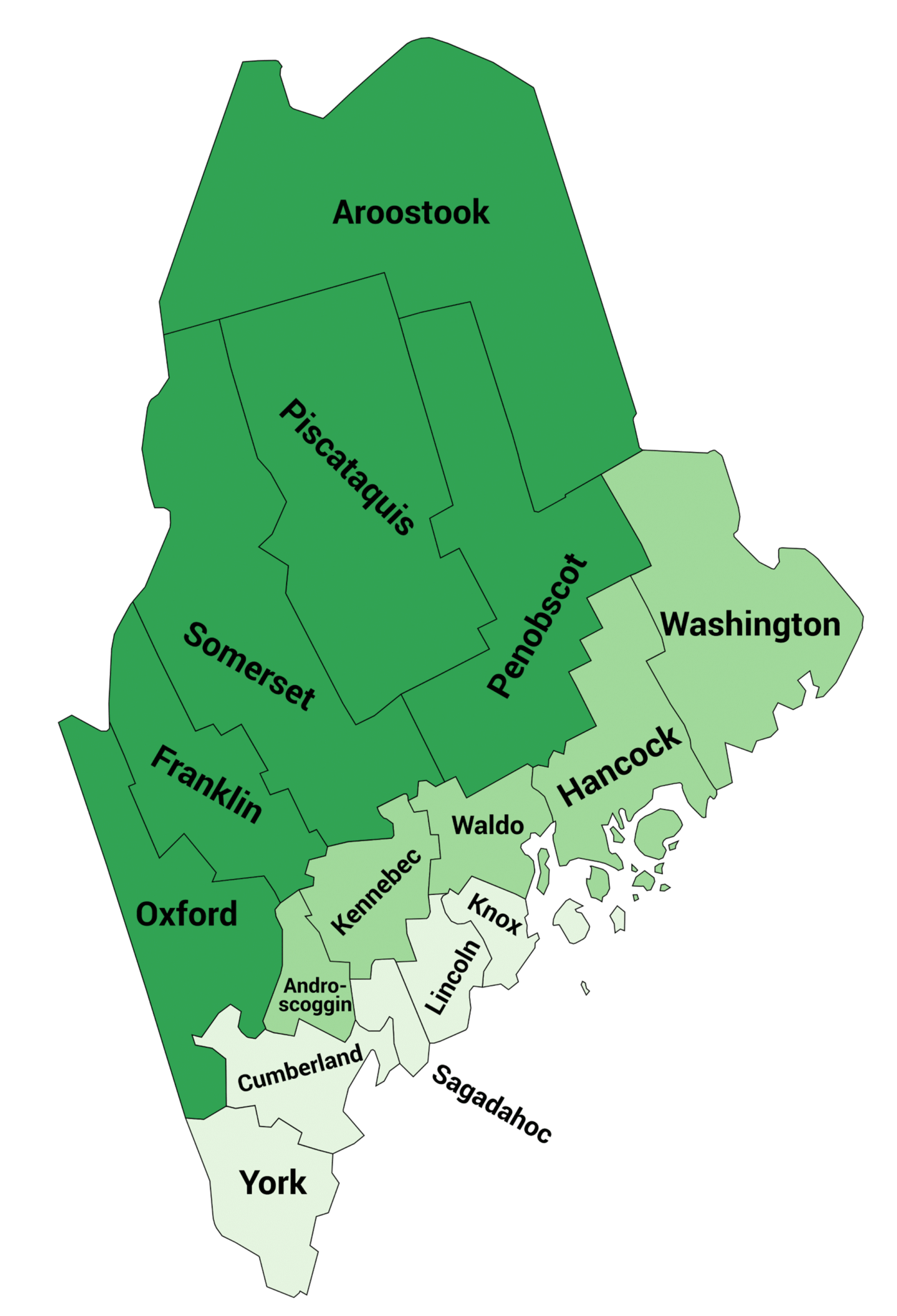 - The Maine Owl Pellet Project