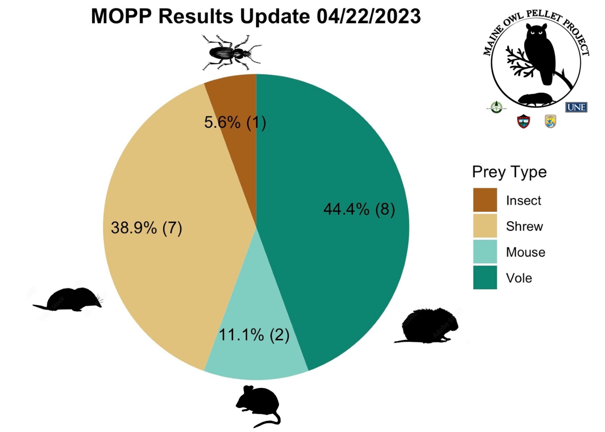 results-the-maine-owl-pellet-project