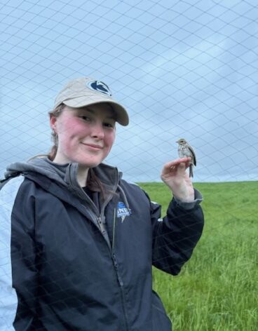 Emma Lake with a Savannah Sparrow on Shelburne Farms, VT.