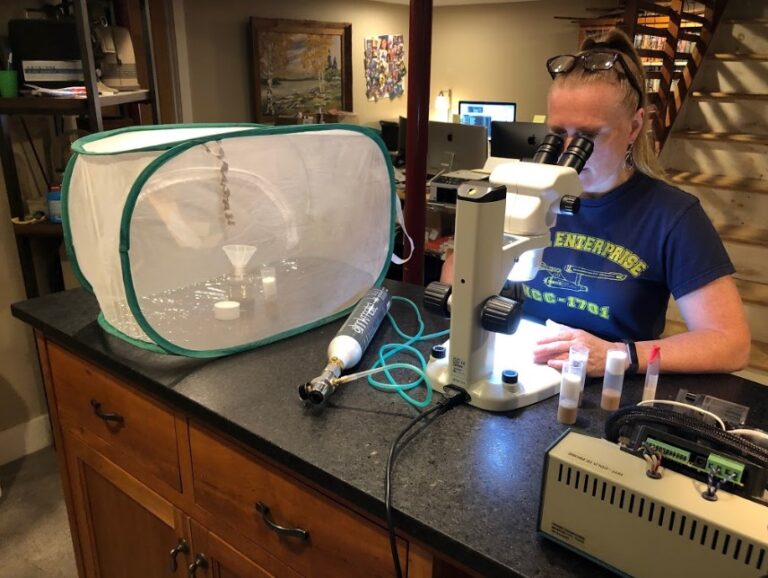 How long is a working thesis image