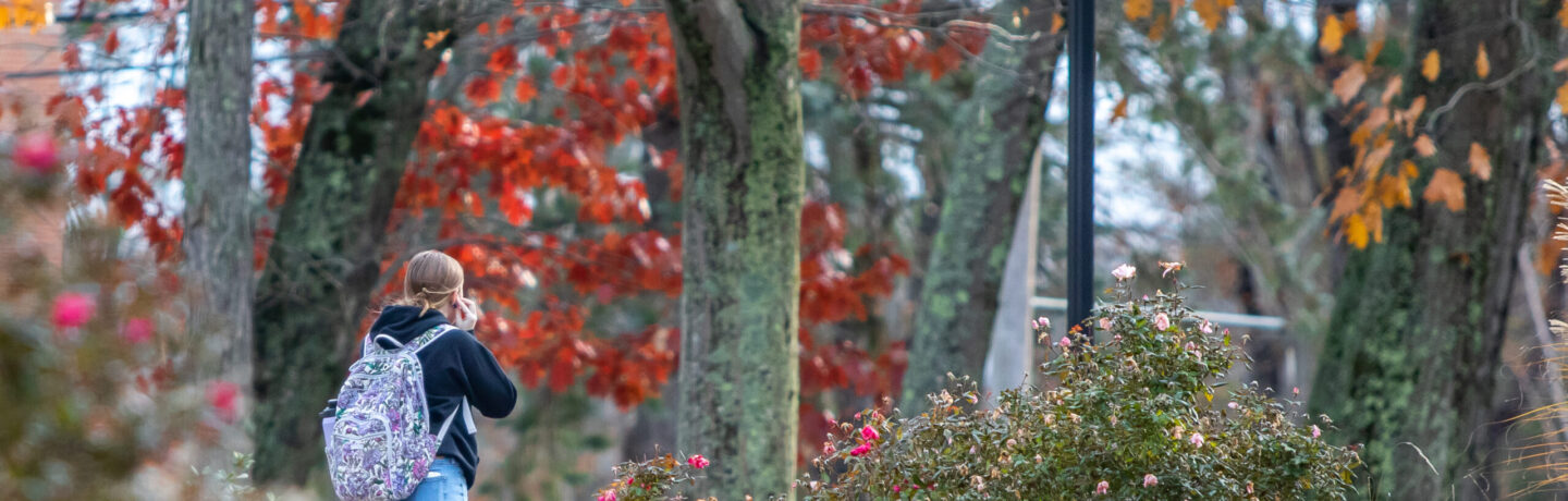 Autumn Stroll through campus