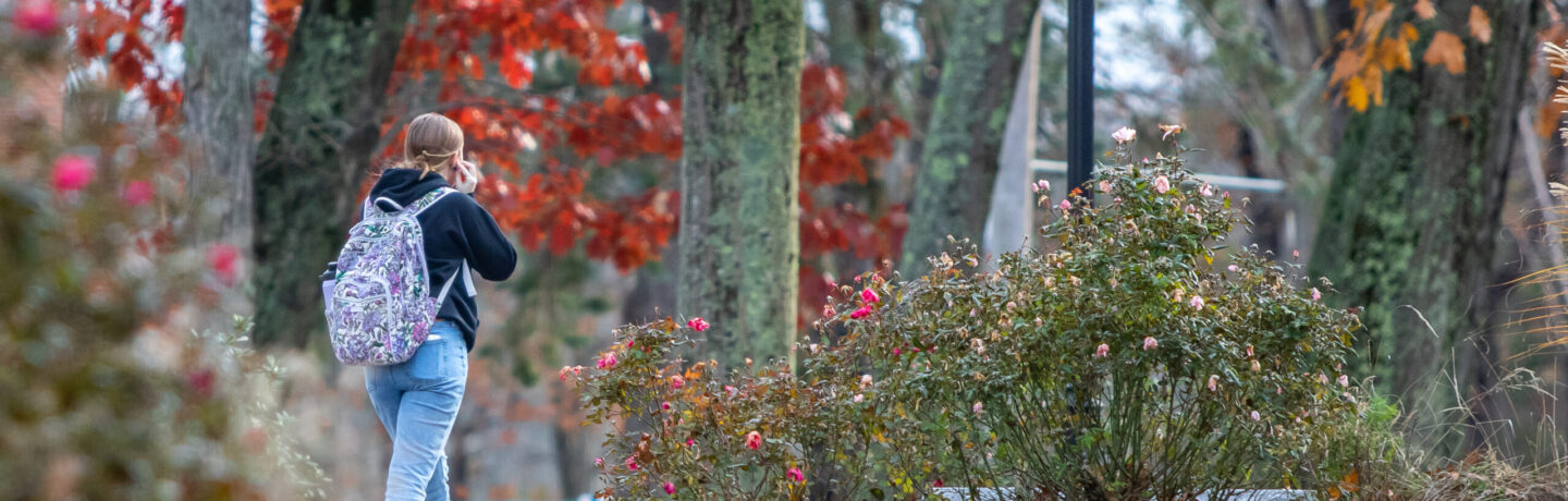Autumn Stroll through campus