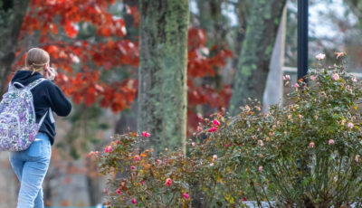 Autumn Stroll through campus